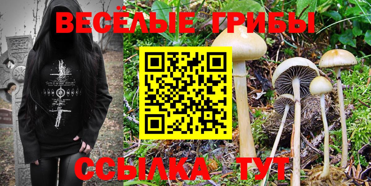 Балашов  Галлюциногенные грибы MAGIC MUSHROOMS  Вход с VPN 